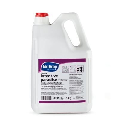 Immagine di INTENSIVE PARADISE AMBIENCE tanica kg.5