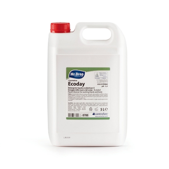 Immagine di ECODAY ECOLABEL tanica lt.5