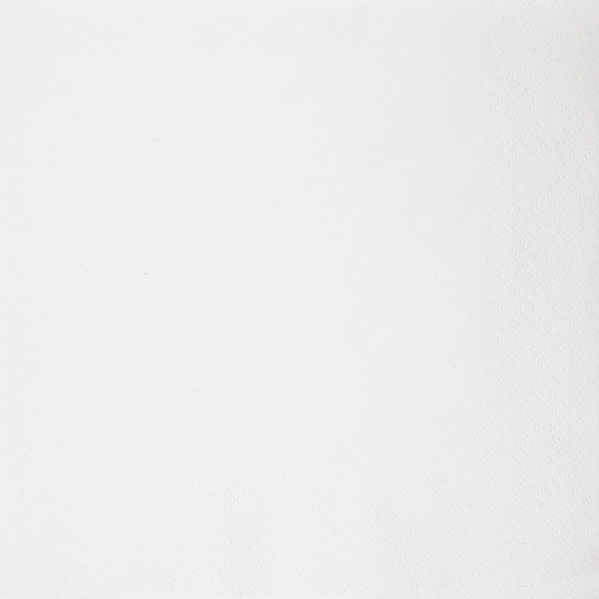 Immagine di 32990 TOVAGLIOLO BIANCO ECOLABEL 2 VELI 40x40cm