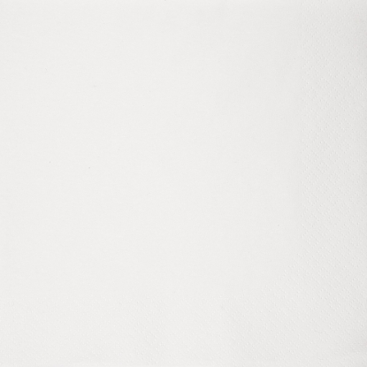 Immagine di TOVAGLIOLO BIANCO ECOLABEL 2 VELI 33x33cm