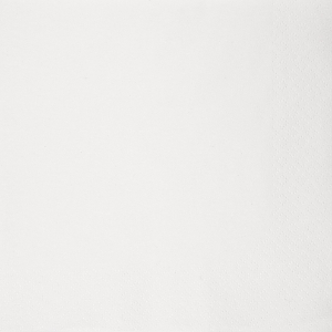 Immagine di 32560 TOVAGLIOLO BIANCO ECOLABEL 1 VELO 27x30cm
