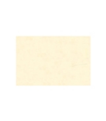 Immagine di TOVAGLIETTA TNT CREMA 33x45cm