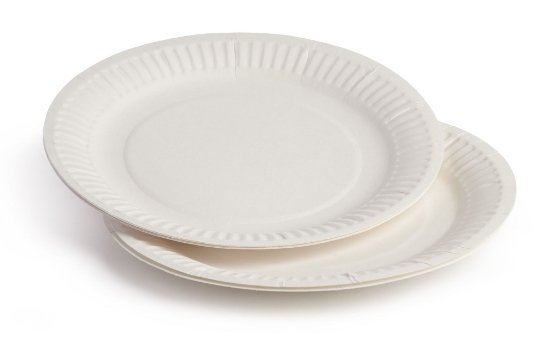 Immagine di PIATTO PIANO CARTA BIANCO BIO Ø18cm