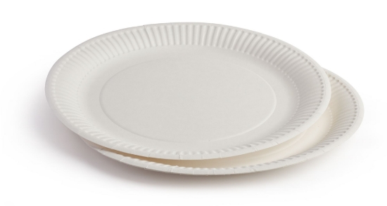 Immagine di PIATTO PIANO CARTA BIANCO BIO Ø23cm