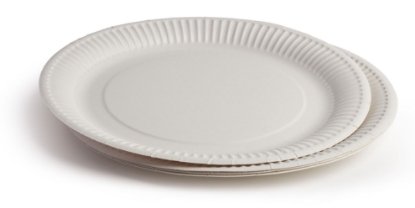 Immagine di PIATTO PIANO CARTA BIO PER CIBI CALDI Ø23cm