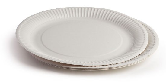Immagine di PIATTO PIANO CARTA BIO PER CIBI CALDI Ø23cm