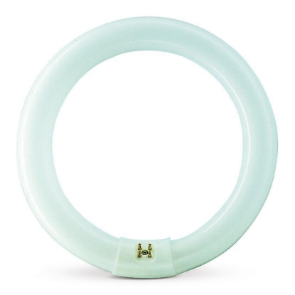 Immagine di CIRCOLINA ATTINICA 32 W  