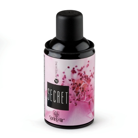 Immagine di DEODORANTE SECRET flacone ml.250  