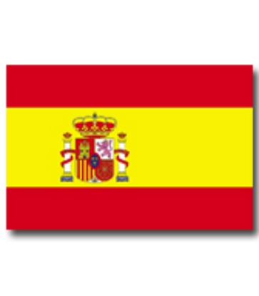 Immagine di BANDIERA SPAGNA 50x75cm