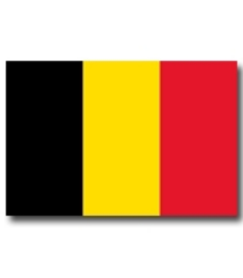 Immagine di BANDIERA BELGIO 70x100cm 