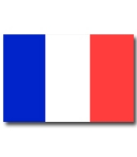 Immagine di BANDIERA FRANCIA 100x150cm 