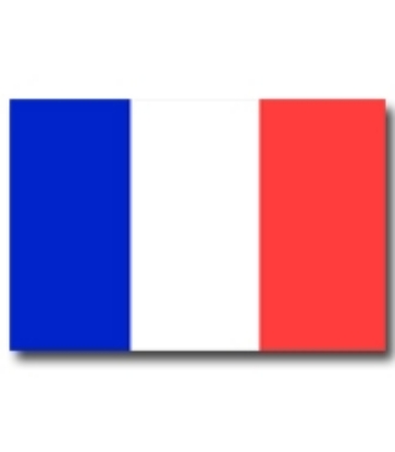 Immagine di BANDIERA FRANCIA 130x200cm 