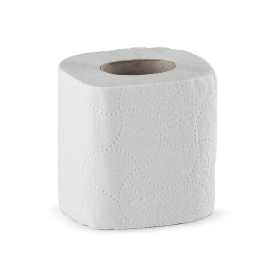 Immagine di CARTA IGIENICA TOILETTE PURA CELLULOSA 2 VELI ECOLABEL