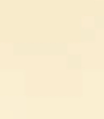 Immagine di 165056 TOVAGLIA DUNISOFT CREMA mt.1x1