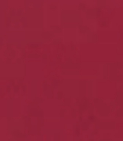 Immagine di 165058 TOVAGLIA DUNISOFT BORDEAUX mt.1x1