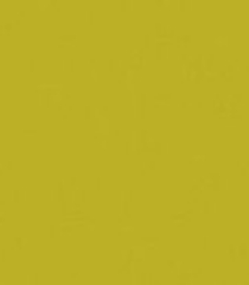 Immagine di 167519 TOVAGLIA DUNISOFT KIWI mt.1x1  