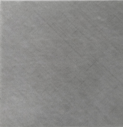 Immagine di TOVAGLIOLI CADI` GRAFITE 40x40cm 