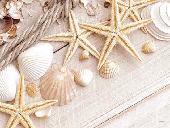 Immagine di TOVAGLIETTA CARTA SEA SHELLS 30x40cm