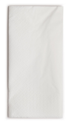 Immagine di 32042 TOVAGLIOLO BIANCO ECOLABEL 2 VELI 40x40cm