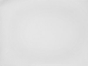 Immagine di TOVAGLIETTA CARTA BIANCA ECOLABEL 30x40cm