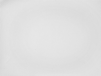 Immagine di TOVAGLIETTA CARTA BIANCA ECOLABEL 30x40cm