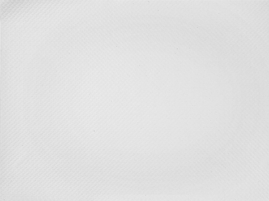 Immagine di TOVAGLIETTA CARTA BIANCA ECOLABEL 30x40cm