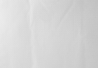 Immagine di TOVAGLIETTA CARTA BIANCA 33x50cm  