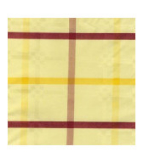 Immagine di TOVAGLIA COUNTRY 100X100 