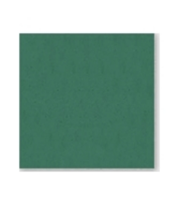 Immagine di TOVAGLIA TNT VERDE mt.1x1