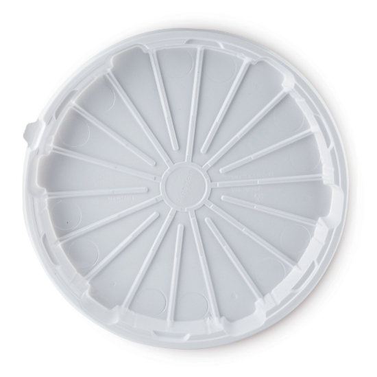 Immagine di PIATTOPACK PER ASPORTO PIZZA IN PS Ø32cm
