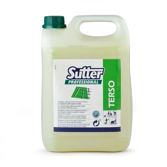 Immagine di 3826 - TERSO tanica kg.5  