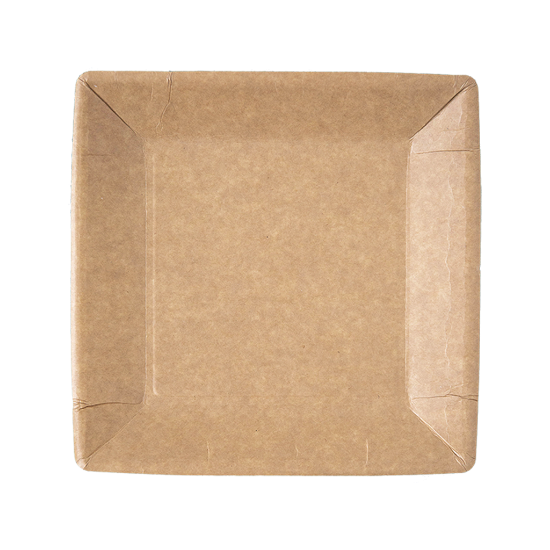 Immagine di PIATTO PIANO IN CARTA KRAFT BIOPATINATO 23x23cm 