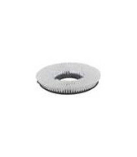 Immagine di SPAZZOLA STANDARD Ø 485 PPL 0,6 RUBY 48E/48BL -  48905010