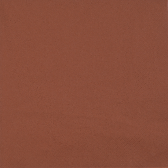 Immagine di 178999 TOVAGLIOLO 2 VELI TERRA NORDIC SWAN ECOLABEL 40x40cm