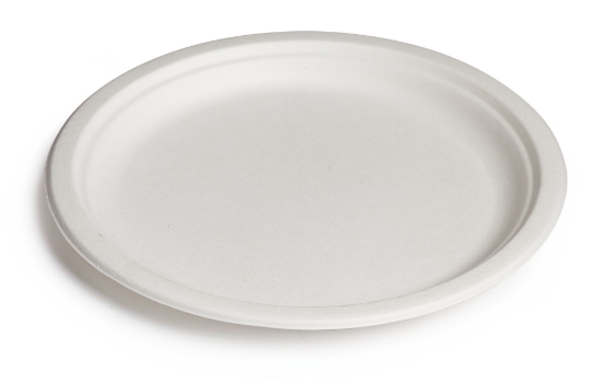 Immagine di PIATTO PIANO BIO OK IN BAGASSA Ø26cm