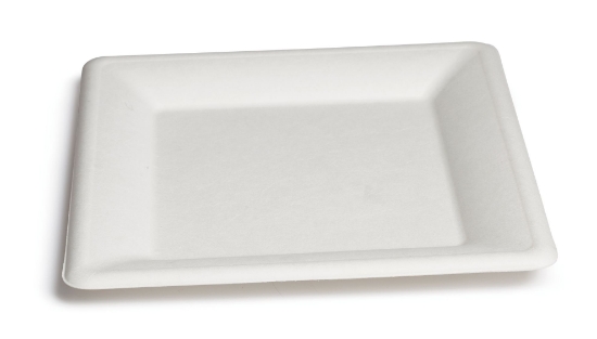 Immagine di PIATTO QUADRO BIO OK 20cm