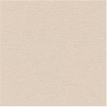 Immagine di TOVAGLIOLI CARTA A SECCO/AIRLAID SABBIA 40x40cm  