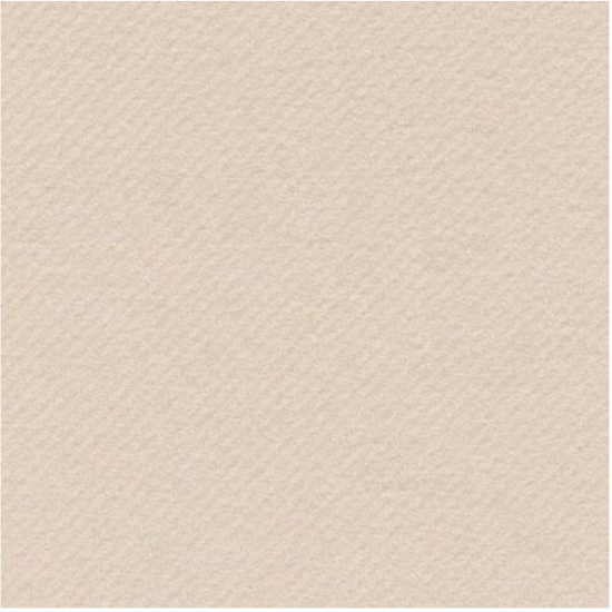 Immagine di TOVAGLIOLI CARTA A SECCO/AIRLAID SABBIA 40x40cm  