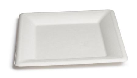 Immagine per la categoria Piatti in bagassa