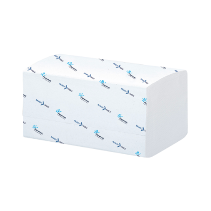 Immagine di TOVAGLIOLI INTERCALATI ECOLABEL 2 VELI 21,5x16,5cm