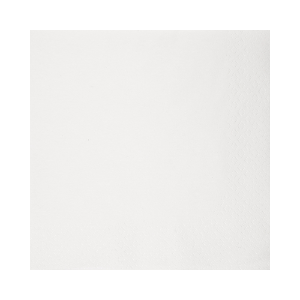 Immagine di 32990 TOVAGLIOLO BIANCO ECOLABEL 2 VELI 40x40cm
