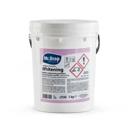 Immagine di WHITENING secchiello kg.5