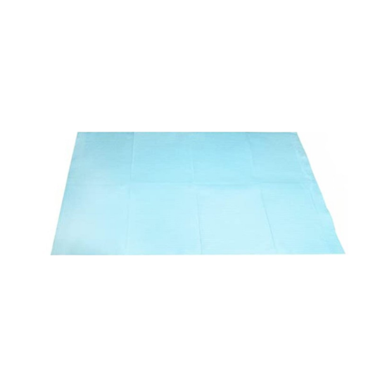 Immagine di SALVIETTE PER DENTISTI CARTA + PE AZZURRE 33x46cm