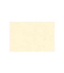 Immagine di TOVAGLIETTA TNT CREMA 33x45cm