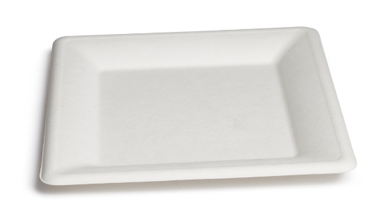 Immagine di PIATTO QUADRO BIO OK 15,5cm