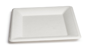 Immagine di PIATTO QUADRO BIO OK 20cm