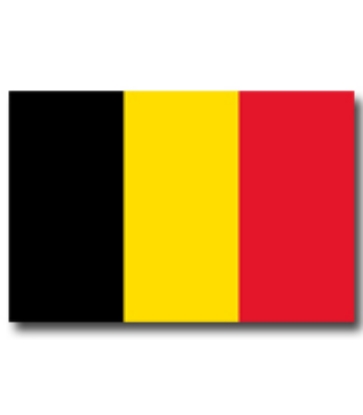Immagine di BANDIERA BELGIO 50x75cm 