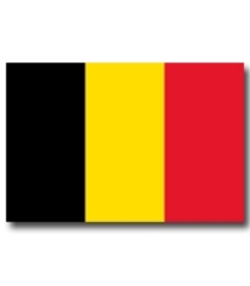 Immagine di BANDIERA BELGIO 70x100cm 