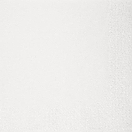 Immagine di 202948 TOVAGLIOLI BIO DUNISOFT CARTA A SECCO/AIRLAID BIANCHI 20x20cm 