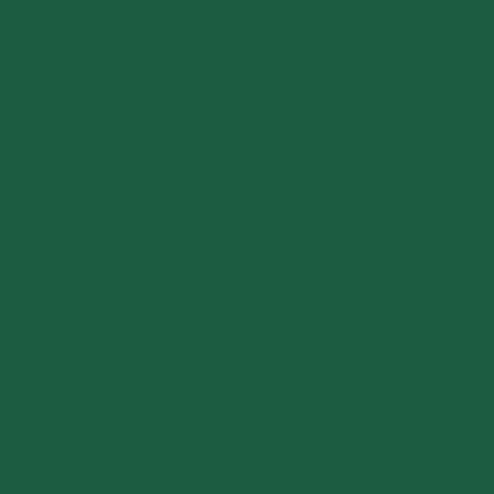 Immagine di 200893 TOVAGLIOLI BIO DUNISOFT VERDE SCURO 40x40cm